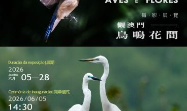2026年6月5至28日 攝影展覽《觀澳門：鳥鳴花間》由Roberto Badaraco